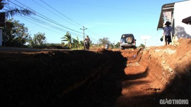 Keyword đầu tiên có dấu